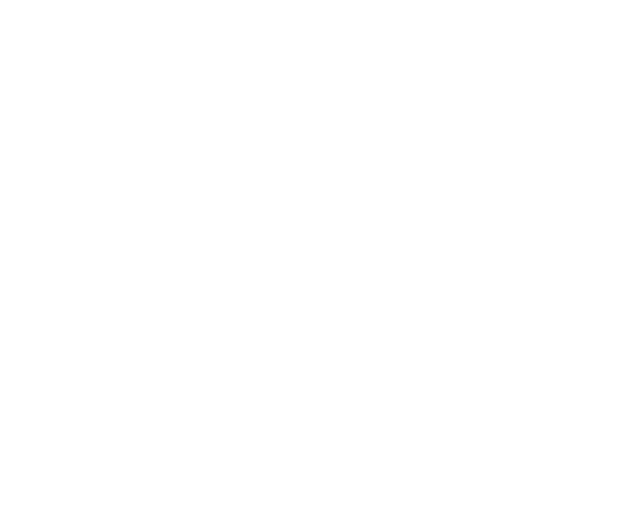 version 13 white